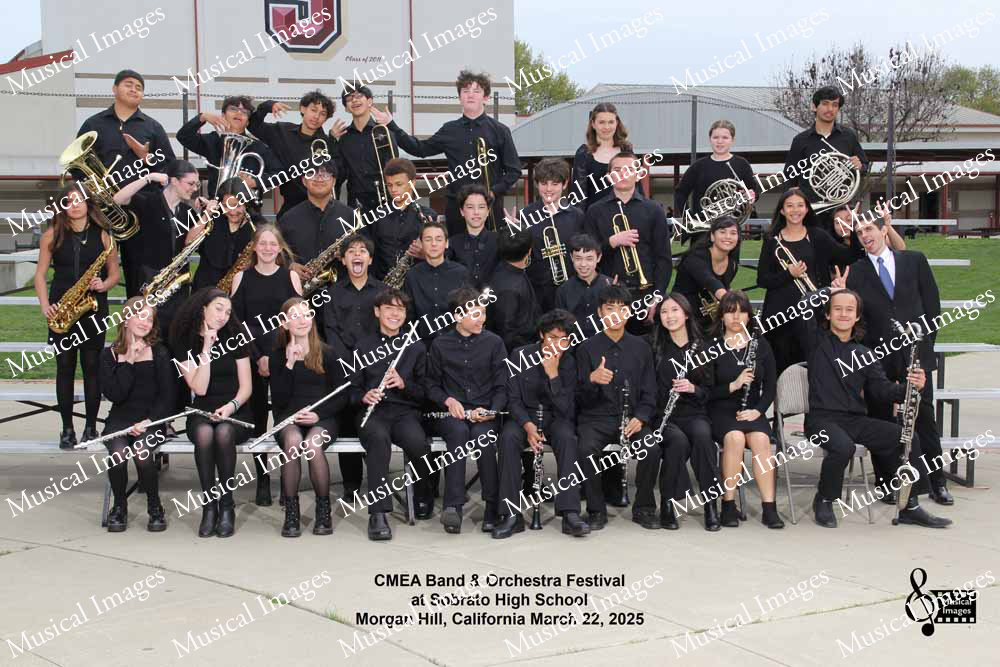 Musical Images